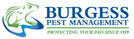Enlisting a Bug Control Administration